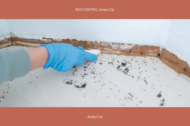 PEST CONTROL Jersey City